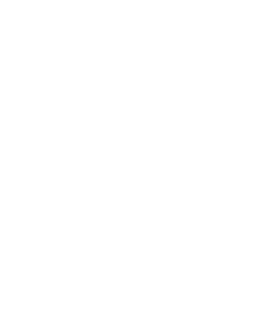 ENVÍOS RÁPIDOS A CABA Y ROSARIO