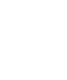 CALIDAD APROBADA POR EXPERTOS